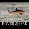 Hover shark