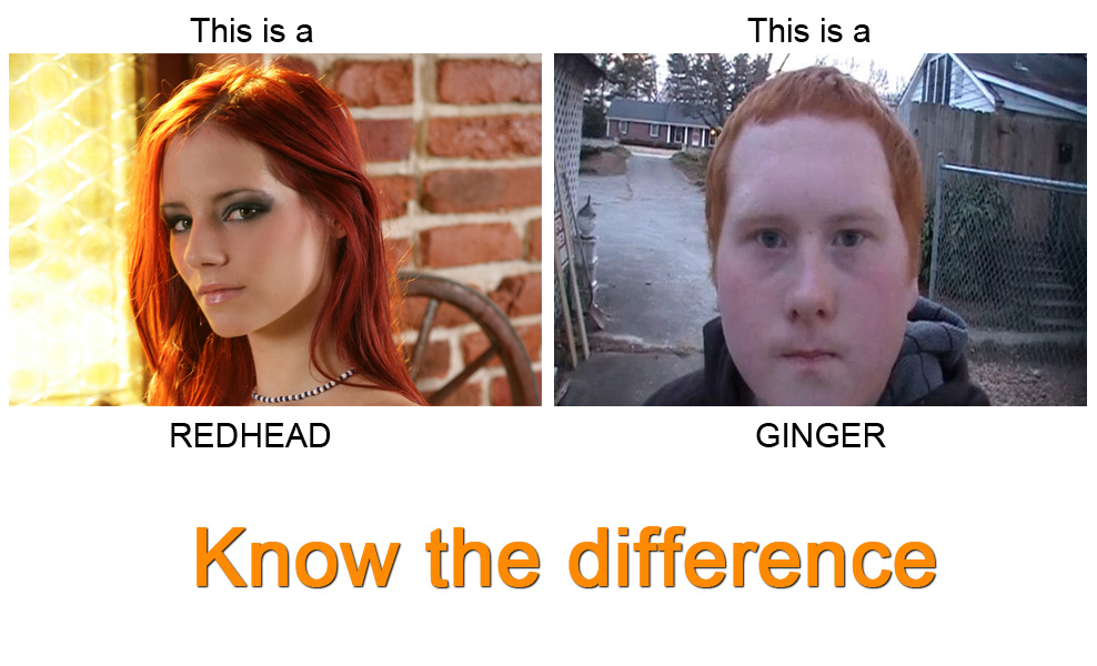 redhead-vs-ginger-big.jpg