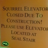Squirrel elevator closed
