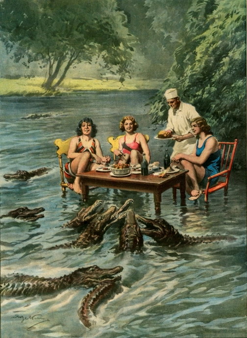 Crocodile picnic