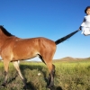 Horse vs. girl