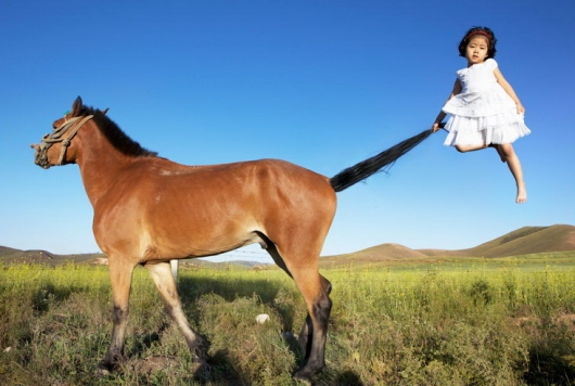 Horse vs. girl