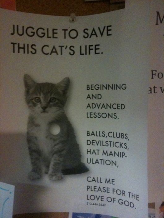 Juggle to save this cat's life