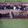 Monster croc
