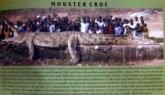 Monster croc