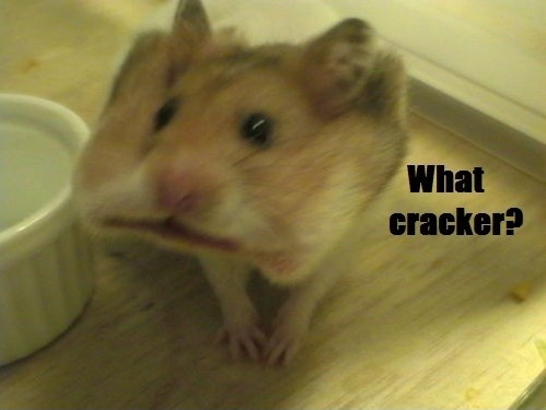 What cracker