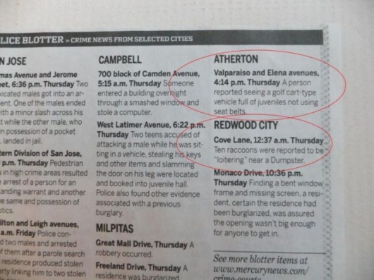 The strange things in the Atherton police blotter - Picture 7