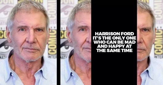 Harrison Ford face