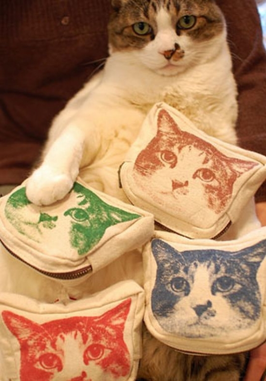 Cat with his merchandise