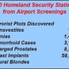 2010 TSA statistics