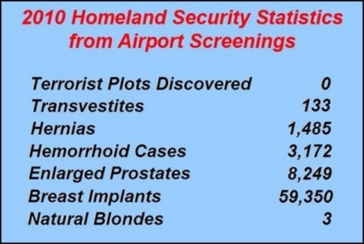 2010 TSA statistics