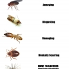 Guide to household pests