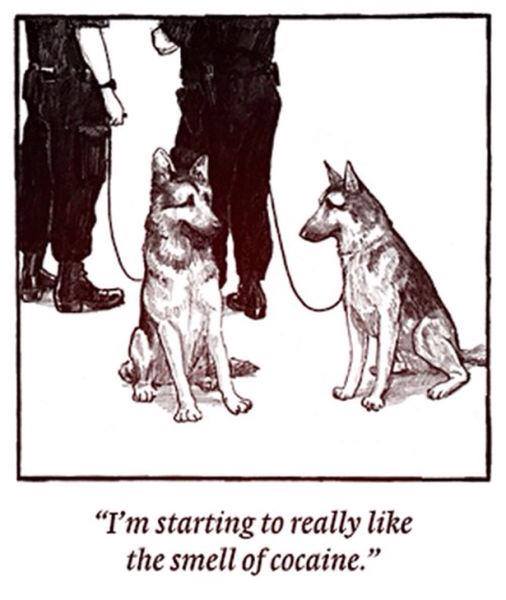 Police dog problems