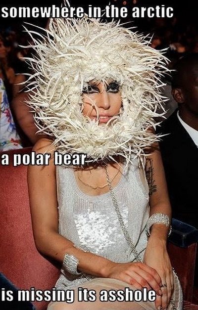 Lady Gaga's hair piece 