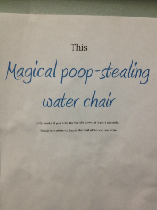 Magical poop-stealing water chair