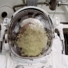 Astronaut puke