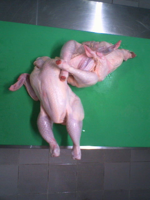 Chicken wrestling