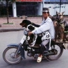 Dogs on a bike