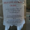 Help give my boss crabs