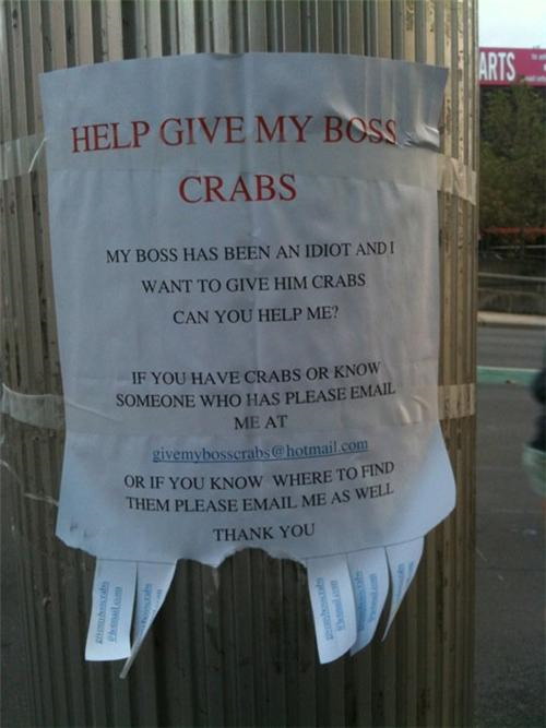 Help give my boss crabs