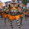 Tiger costumes