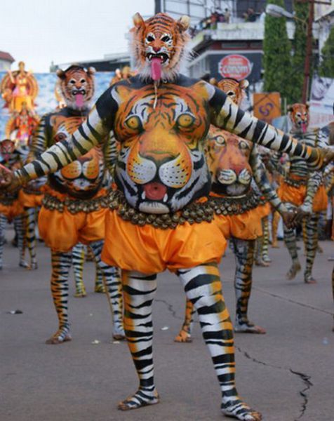 Tiger costumes