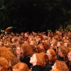 Ginger convention