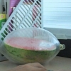 Keeping the melon fres