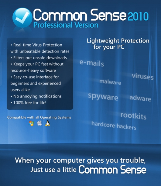 Common sense 2010