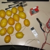 Battery charger mnade of lemons
