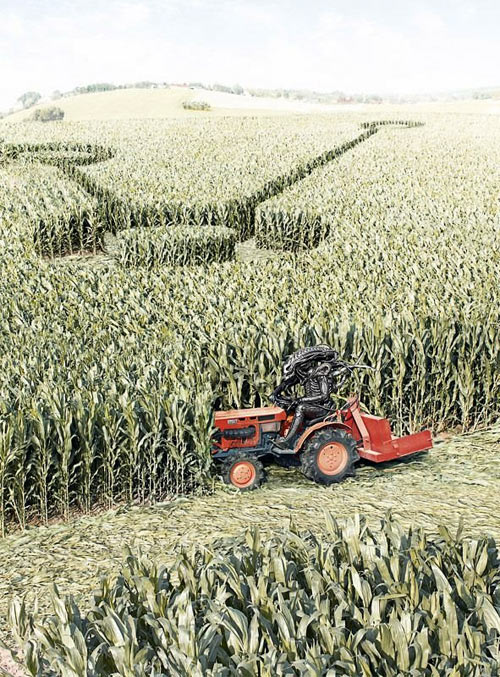Crop circles - The truth