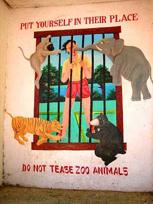 Do not tease zoo animals