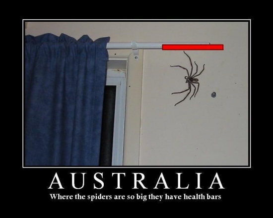 Motivational Poster: Australia