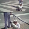 Taking the baby for a walk