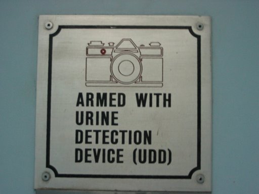 Urine detection device