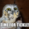 Time for tickles