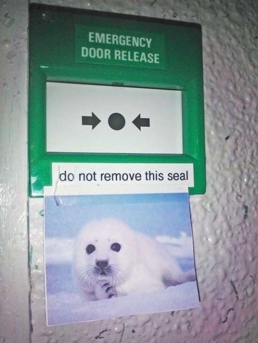 Do not remove this seal