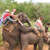 Elephant ride fail