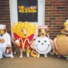 Fast food dogs