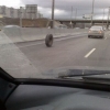 Invisible one wheel car