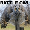 Battle owl
