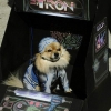 Tron dog costume