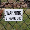 Warning - strange dog
