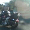 Doggy on motorcycle