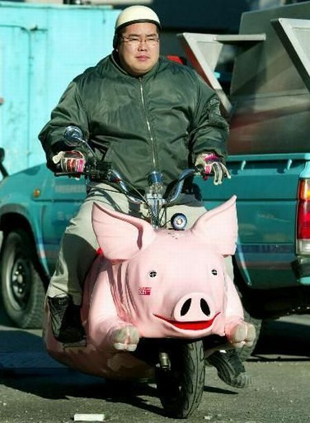 Flying pig motorcycle