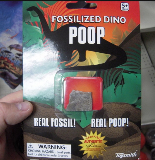 Fosilized dino poop