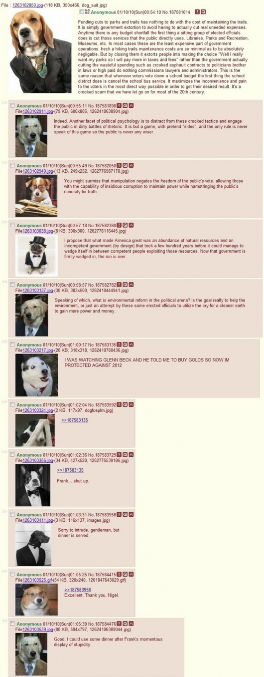 The smart dogs of 4chan talk politics