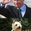 Putin waves everybody