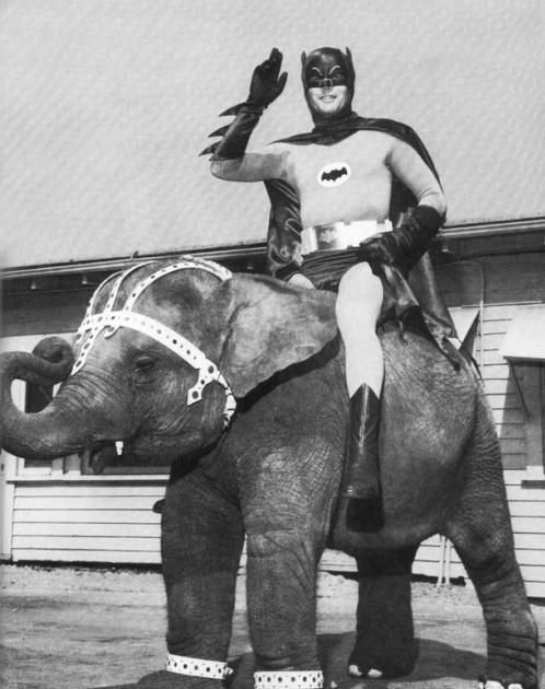 Batman with his elephant