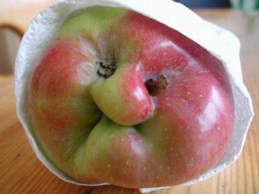 Grumpy apple